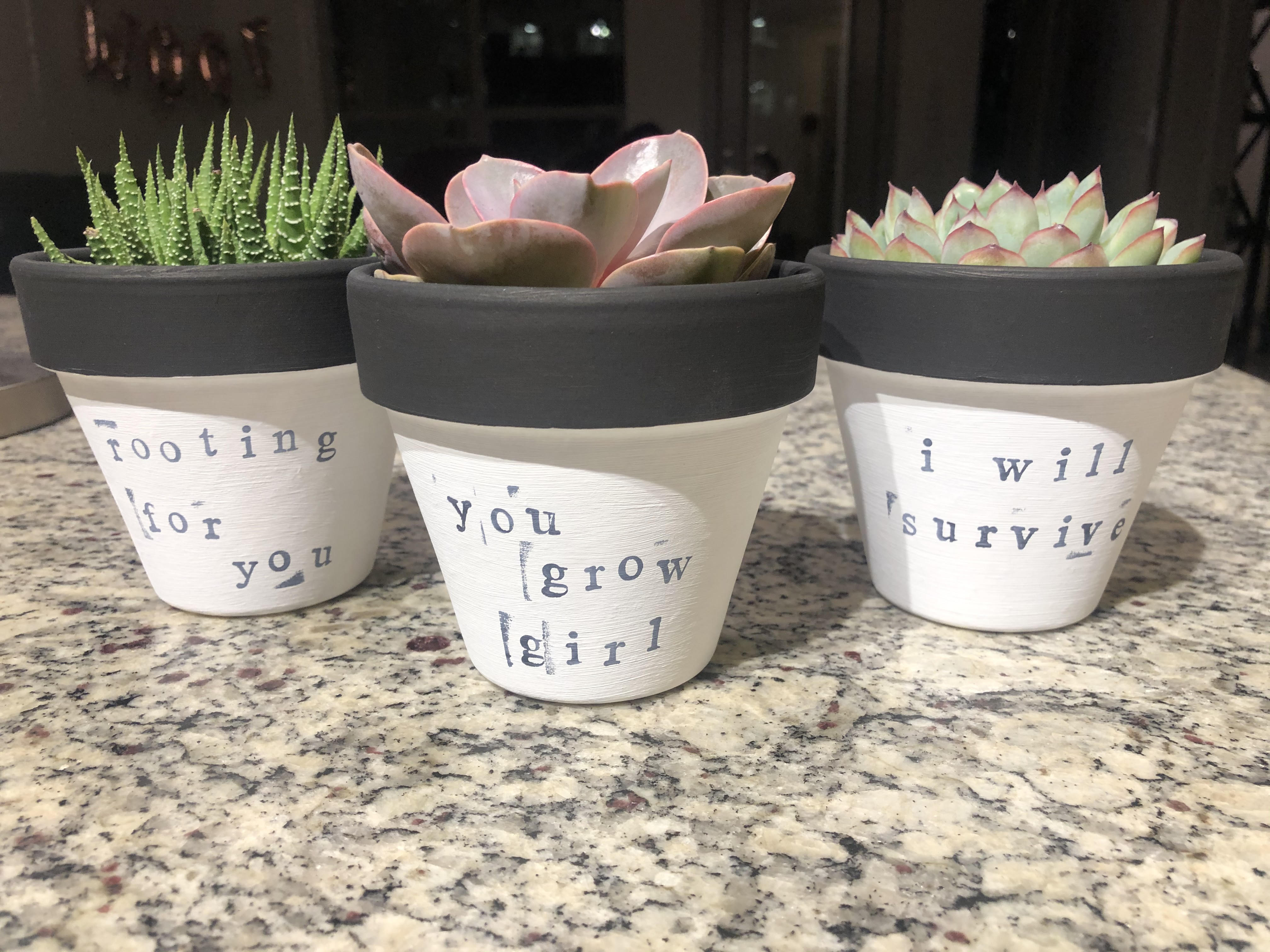 DIY Succulent Pots  Employee Appreciation Day